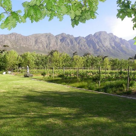 Franschhoek Rose Cottages Buitenkant foto