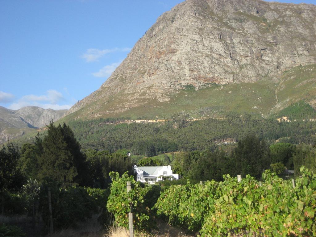 Franschhoek Rose Cottages Buitenkant foto