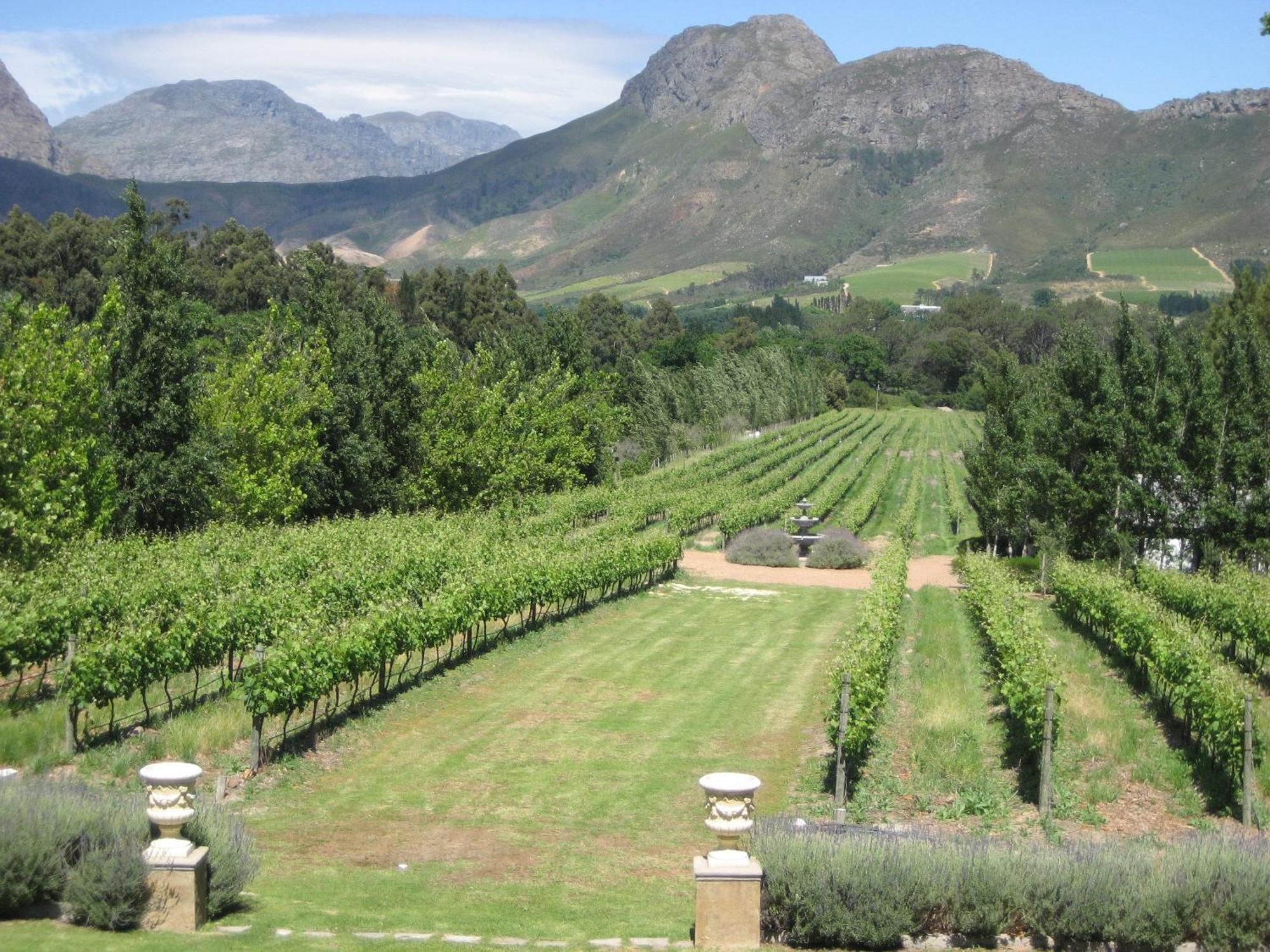 Franschhoek Rose Cottages Buitenkant foto