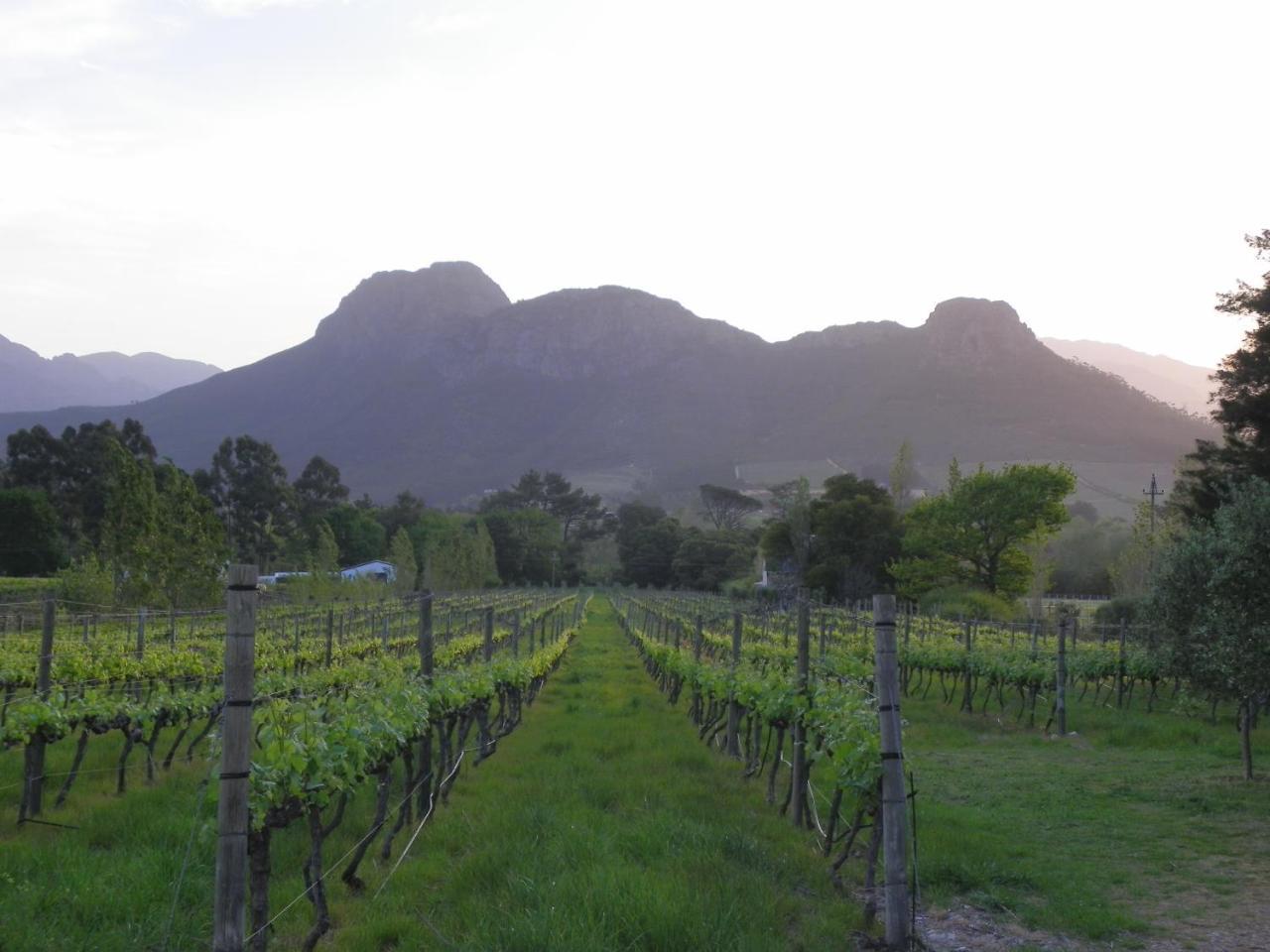 Franschhoek Rose Cottages Buitenkant foto